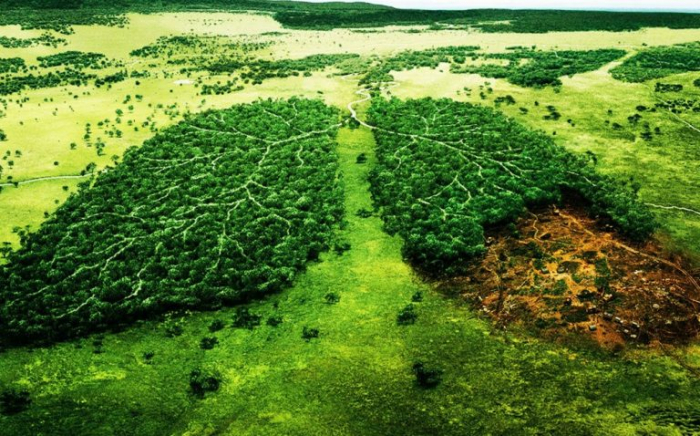 Чистота повітря бажає кращого, або чим дихають ужгородці (ДІАГРАМА)