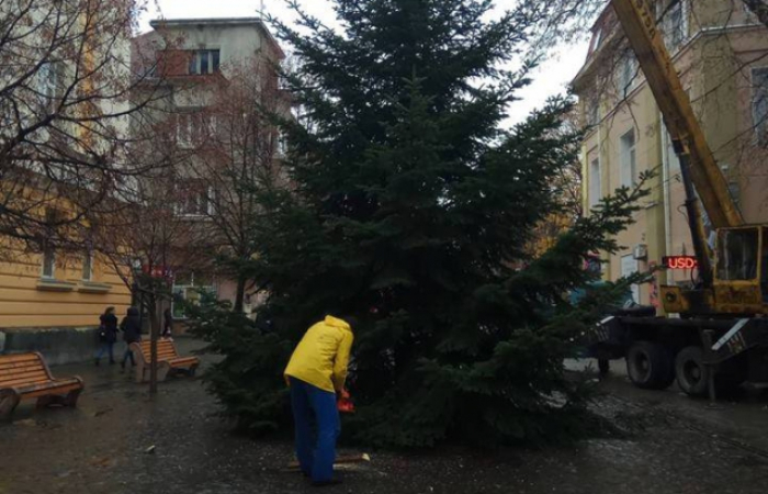 У якому місті Закарпаття встановили першу в Україні ялинку?