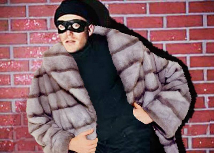 На Тячівщині злодій поцупив з автомобіля шуби та пальта на суму понад 100 тисяч гривень