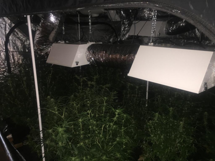 На Закарпатті взяли під варту жителя Сумщини, в домі якого виявили нарколабораторію