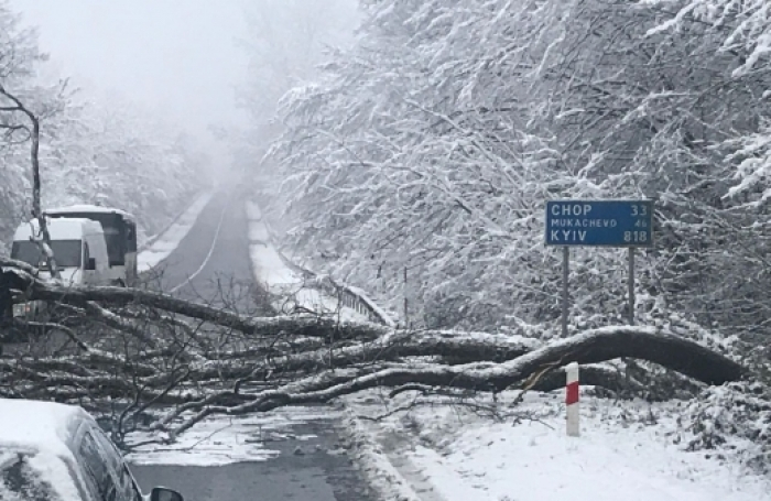 Фото ілюстративне