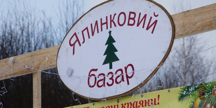 Де на Закарпатті можна купити "законослухняну" ялинку – місця продажу