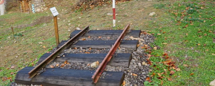 А ви знаєте про унікальний музей на території Ужгородського держлісгоспу? (ВІДЕО)