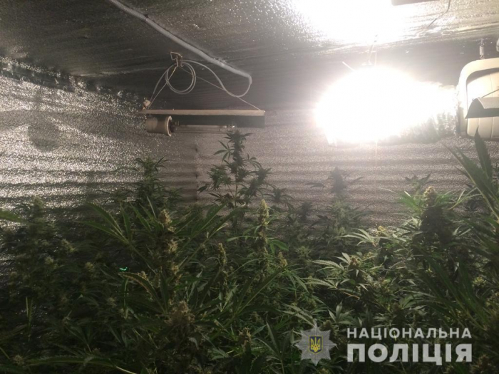 На Закарпатті виявлено підпільну нарколабораторію