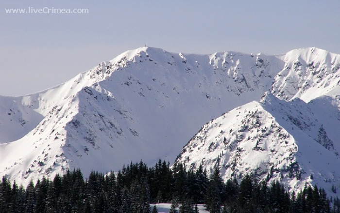 Туристка зірвалася у провалля у сніжних Карпатах
