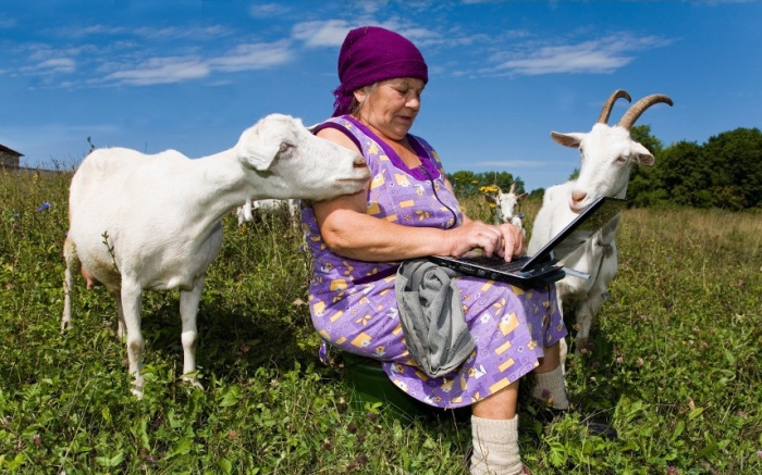 Москаль: «Закарпаття на першому місці в Україні по доступу сільського населення до інтернету»