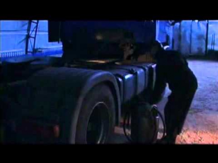 Молодий закарпатець поцупив дизпаливо у закордонного гостя 