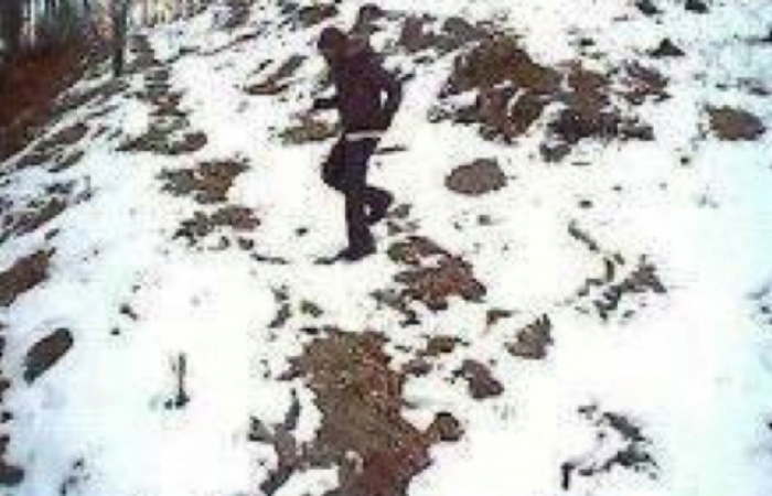 За перетин кордону з боку Закарпаття молдаванина лише оштрафують, а ось словак-"провідник" сяде до в’язниці