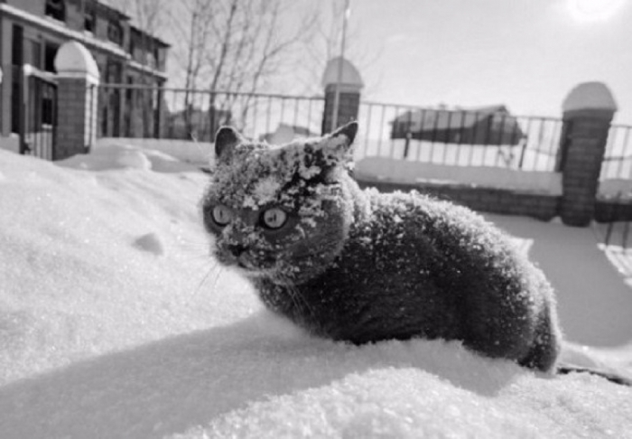 Закарпаття від завтра візьмуть "в облогу" міцні морози!