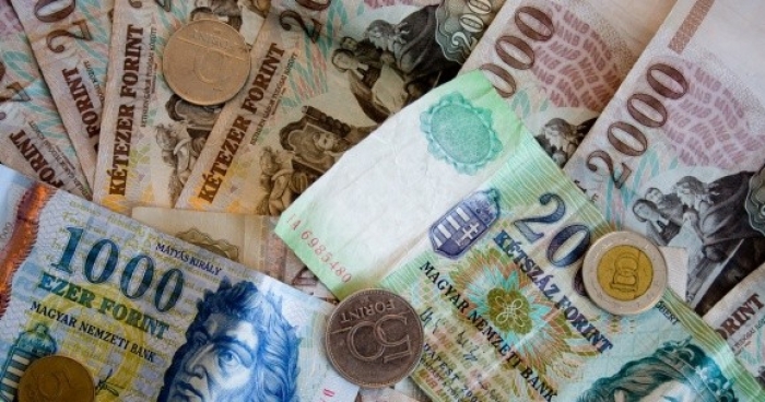 На Іршавщині неповнолітній поцупив від пенсіонерів 70 тисяч угорських форинтів