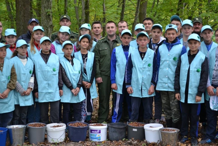 Понад 150 тисяч дерев висадять лісівники Берегівщини навесні