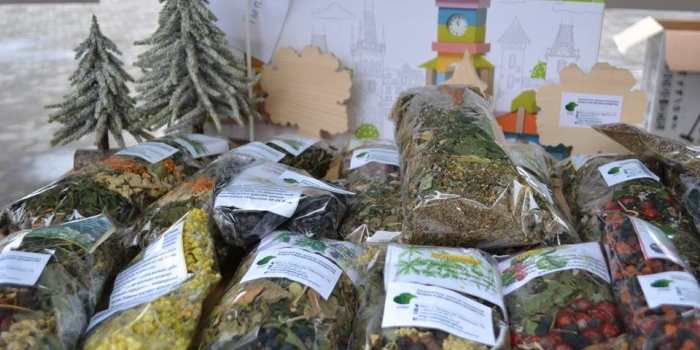 Лісівники Закарпаття презентували “дари лісів” на “Медовуха-фест” в Ужгороді