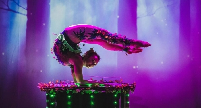 WOW SHOW FEST: як це було в Ужгороді