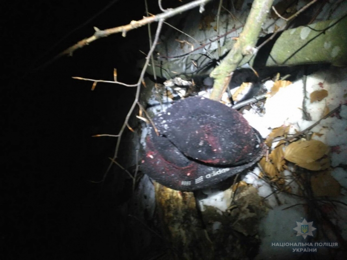 Смерть у лісі: поліція Іршавщини розслідує факт травмування лісників