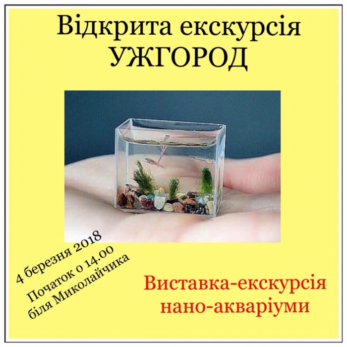 Три міста Закарпаття запрошують на відкриті недільні безкоштовні екскурсії 