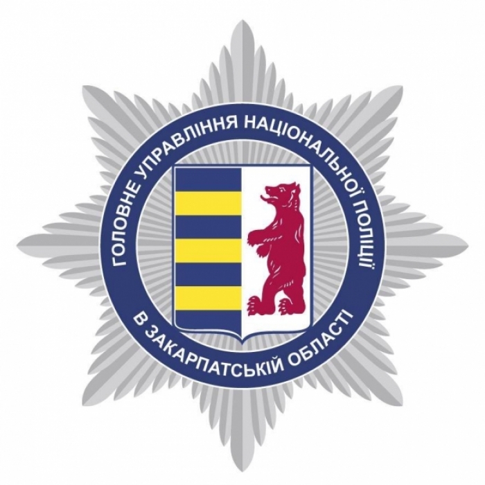 "Комунальна" крадіжка наробила галасу в прикордонному містечку на Закарпатті