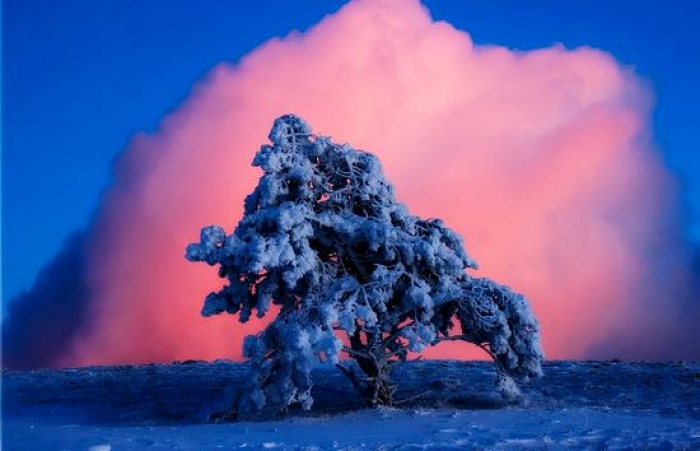 Закарпатських фотографів запрошують до участі у Всеукраїнському конкурсі світлин