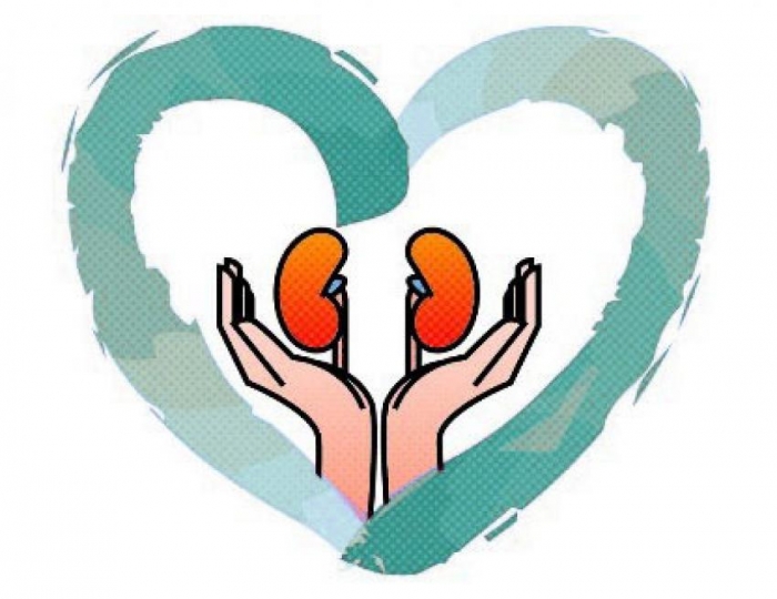 У закарпатському "Білому домі" говоритимуть про роботу центрів програмного гемодіалізу у регіоні