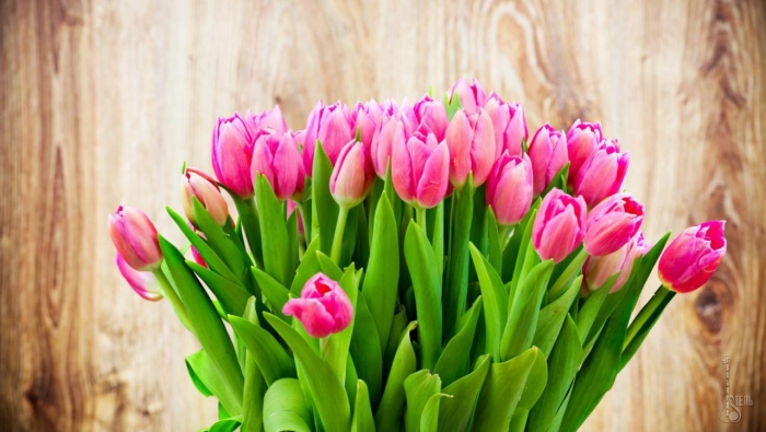 Сьогодні Восьме Березня — свято весни, краси та жіночності!