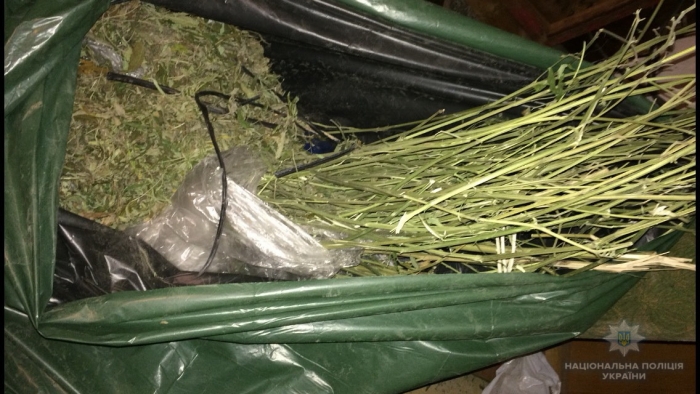 "Конопляного чоловіка" виявила поліція у закарпатському Королево