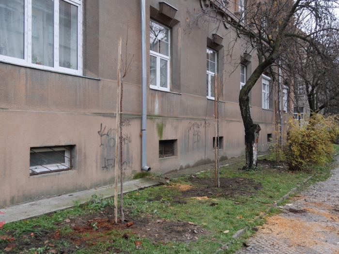 Які плани на сьогодні у комунальників та міських служб м.Ужгород?