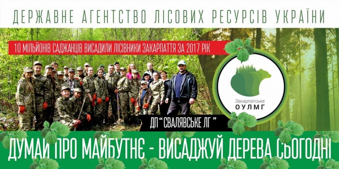 Масштабна "лісова" акція охопить усі регіони Сріберної Землі