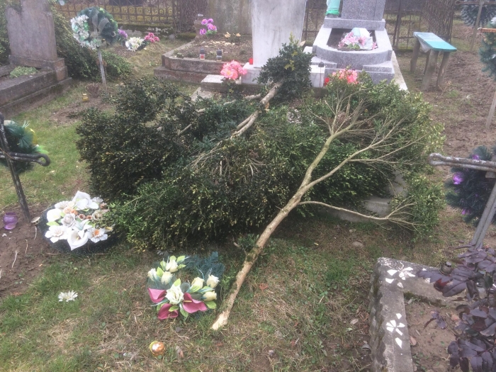 "Могильні вандали" погосподарювали на цвинтарі закарпатського селища