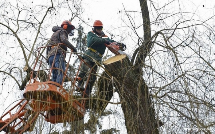 До уваги жителів м.Ужгород! Про відключення електрики!