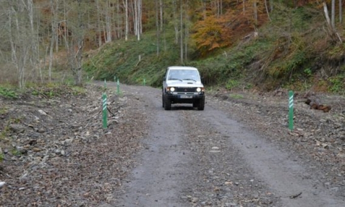 Цьогоріч на Закарпатті планують збудувати 28,5 км лісових доріг з твердим покриттям