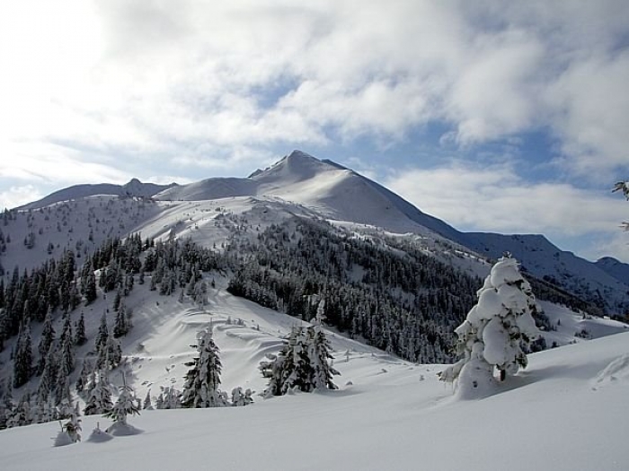Невже завтра на Закарпатті вже не сніжитиме?