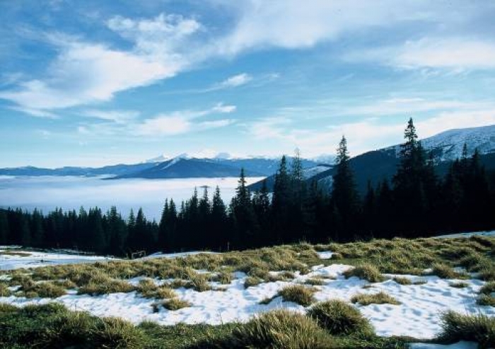 Якою буде погода на вихідних у Закарпатті