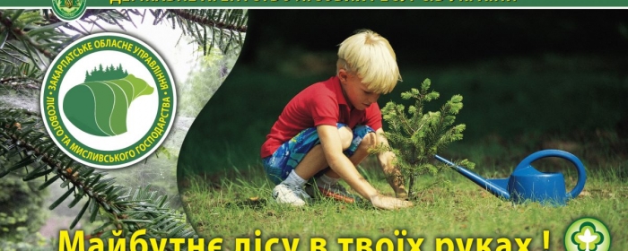 Лісовідновлення – ключове завдання закарпатських лісівників у 2018-му