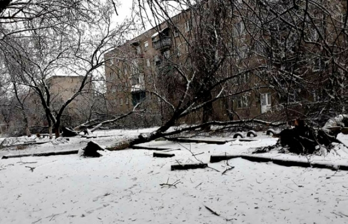 Внаслідок вітровалу на Закарпатті значних збитків зазнала лісова галузь – держлісгоспи, національні парки, заповідники