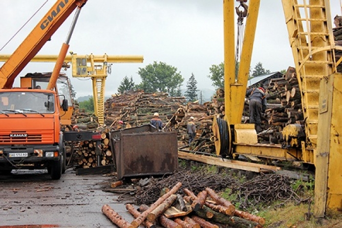 Перечинський лісохімкомбінат заплатить штраф за самовільне водокористування і відсутність контролю за якістю води