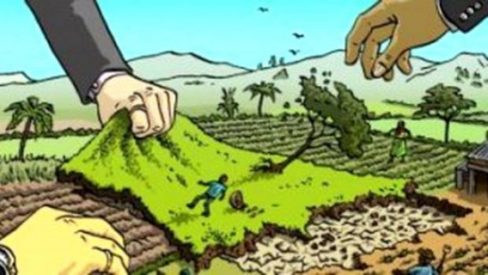 На Закарпатті земельний чиновник вчинив службову підробку — тепер доведеться відповісти!