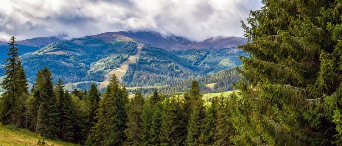 Закарпаття напередодні Великодня. Мінлива хмарність — без істотних опадів