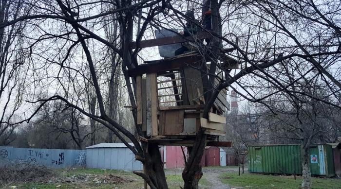 Закарпатці помалу повертаються до життя, яке вели наші пращури