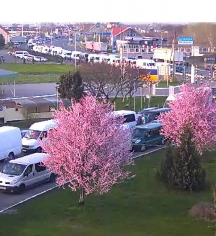 Прикордонники Закарпаття роблять усе для пришвидшення пропуску автівок на кордоні з ЄС