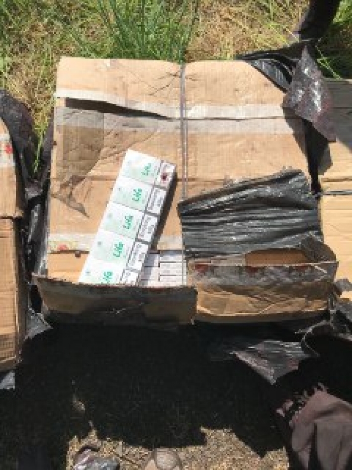 Прикордонний пес відшукав тютюнову контрабанду в міжнародному вантажному потязі