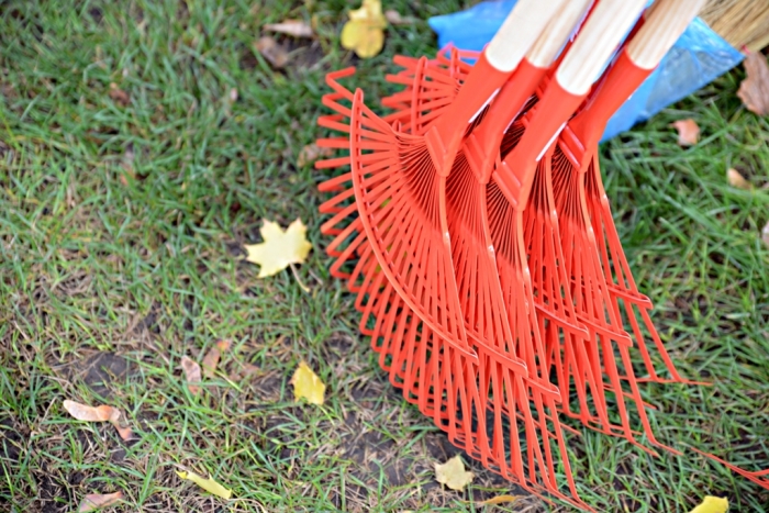 Ужгородська міська рада долучаться до щорічної загальнодержавної акції – «За чисте довкілля»
