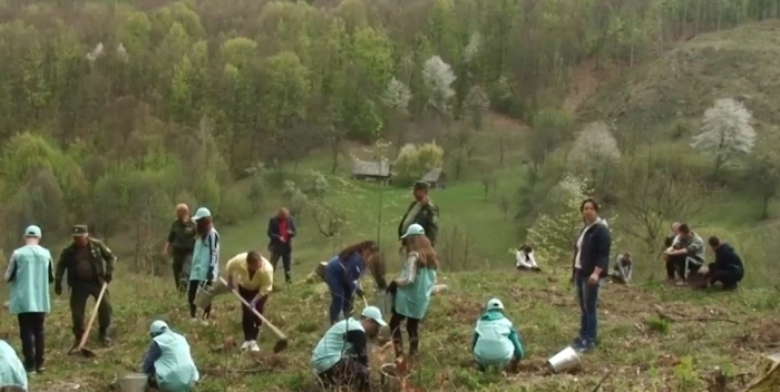 Як народжується молодий ліс, відтепер закарпатські школярі будуть знати не з чуток