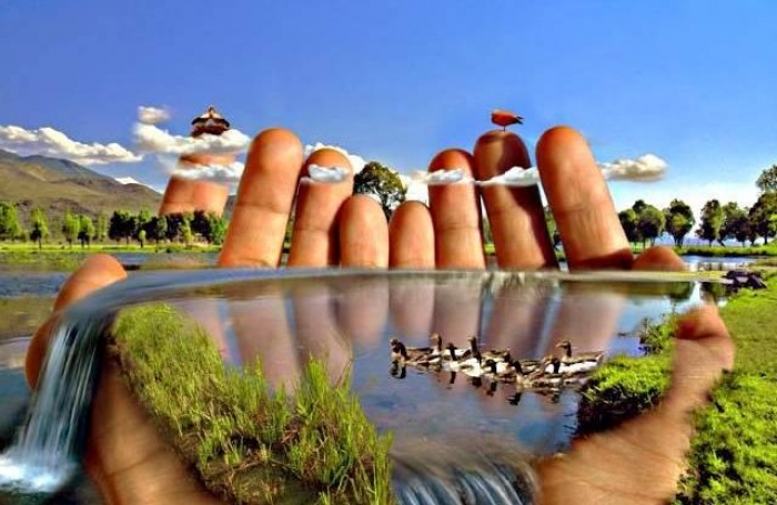 Закарпатських майстрів оригінальних фотографій запрошують до участі в конкурсі "Вікі любить Землю"