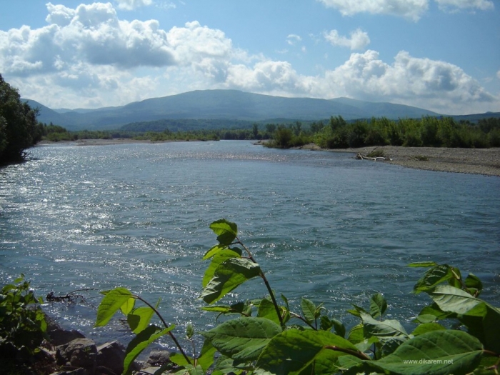 Зниклі на кордоні Закарпаття двоє юних нелегалів знайшлися у сусідів-угорців