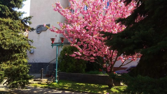 Ужгородський водоканал працює сьогодні на вулиці Тихого