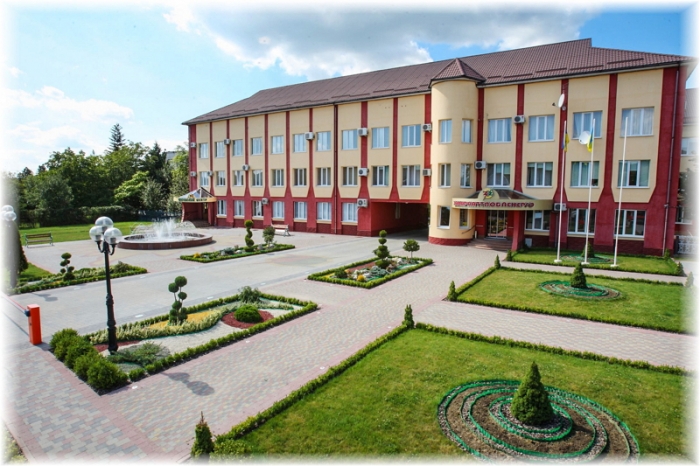 Стовп, від падіння якого загинув 2-річний хустянин, "Закарпаттяобленерго" не належить