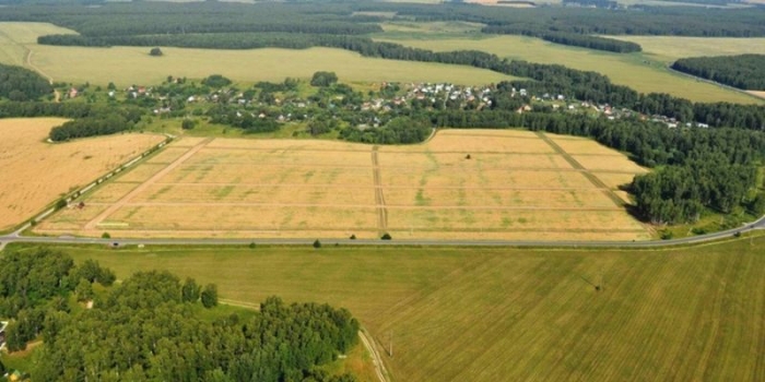 Фермер-закарпатець: Як правильно здати в оренду земельний пай, щоб мене не обманули?