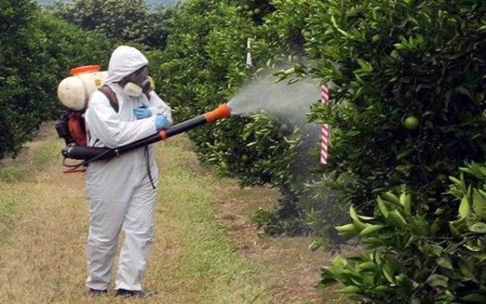 В Ужгороді відкриють Інформаційний центр по боротьбі з незаконним обігом пестицидів 