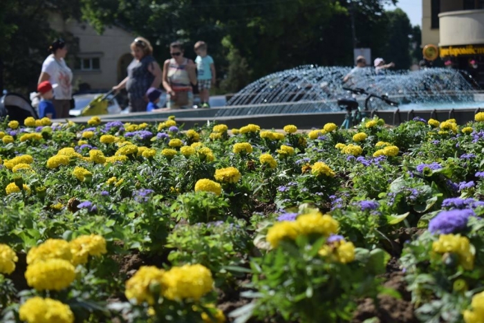Які роботи проводять в Ужгороді комунальні та інші підприємства 