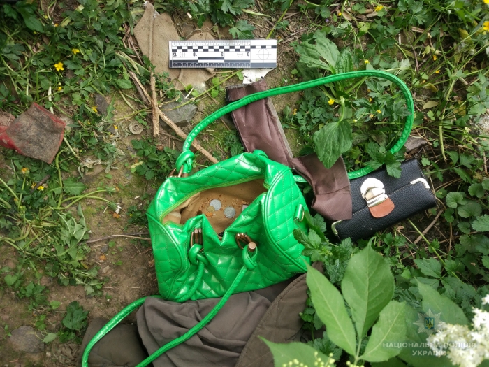 В Ужгороді, вдаривши жінку, нападник відібрав у неї сумку з документами та особистими речами