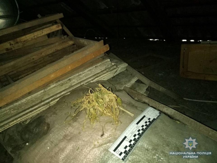 Перечинські копи вилучили у місцевого "наркобарона" стебла наркотичних конопель та марихуану
